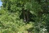 Зелёная зона в м/к Развилка (8) в Горячем Ключе