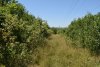 Зелёная зона в м/к Развилка (8) в Горячем Ключе