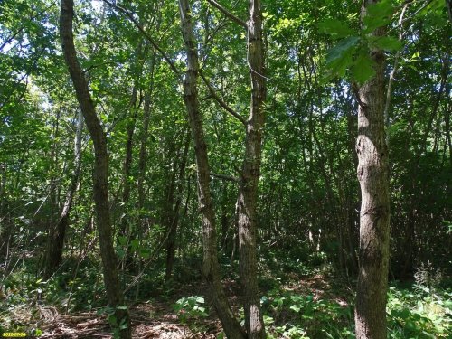 Зелёная зона в м/к Развилка (6) в Горячем Ключе