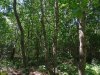 Зелёная зона в м/к Развилка (6) в Горячем Ключе