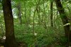 Зелёная зона в м/к Развилка (9) в Горячем Ключе