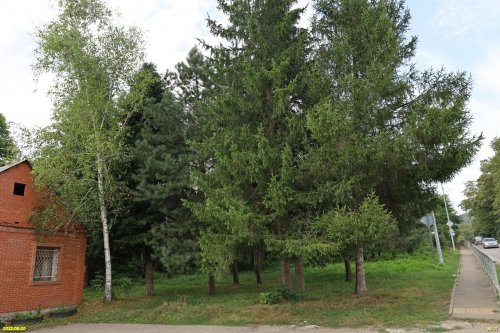 Зелёная зона в с.Шаумян (6)