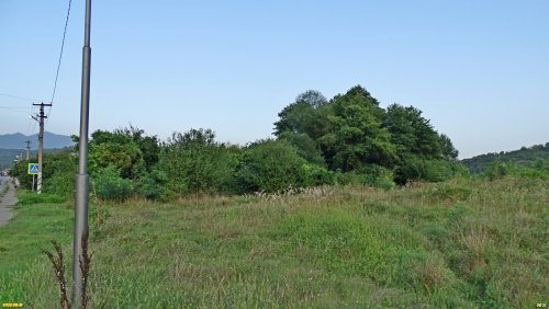 Зелёная зона в с.Георгиевское (дополнительная)