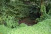 Зелёная зона в с.Георгиевское (5)