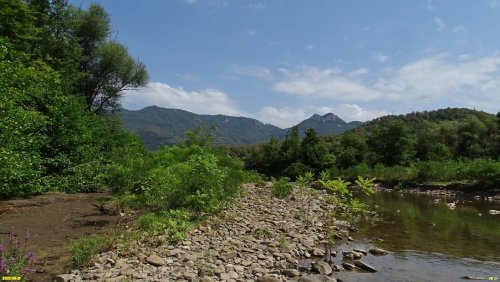 Зелёная зона в с.Анастасиевка (1)