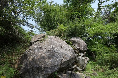 Зелёная зона в ауле Малое Псеушхо (3)