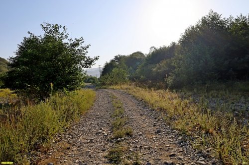 Зелёная зона в п.Новомихайловский (дополнительная)
