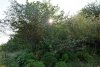 Зелёная зона в п.Новомихайловский (дополнительная)