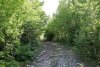 Куйбышевский лес 