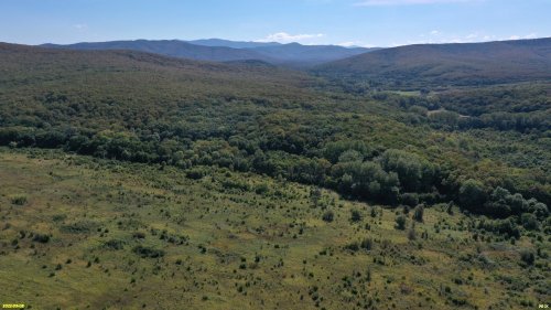 Центральная и западная части Дальнего леса