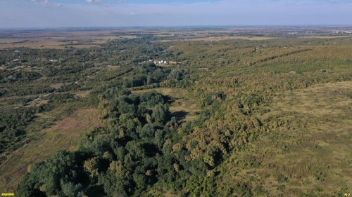 Урочище Горки крайняя южная часть)