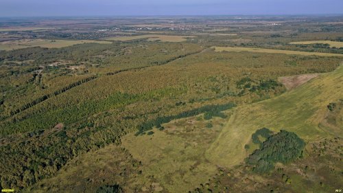 Урочище Горки (кроме крайней южной части), вид с юга