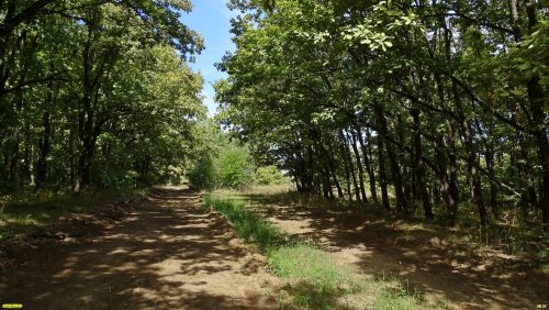 Урочище Горки