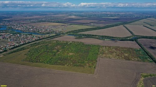 Динской лесопарк