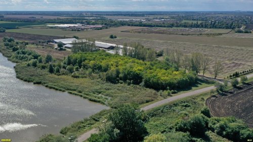 Зелёная зона в ст.Динской (3)