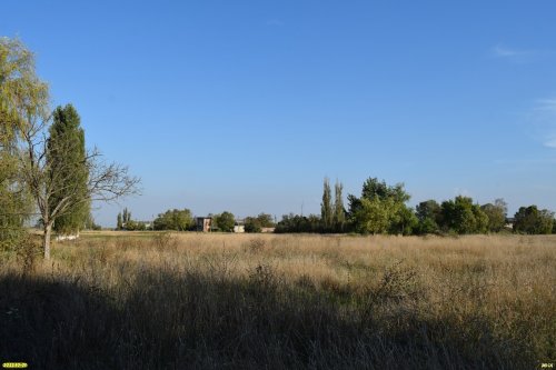 Зелёные зоны в х.Протоцкие (1) и (2)