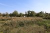 Зелёная зона в ст.Чебургольской (6)