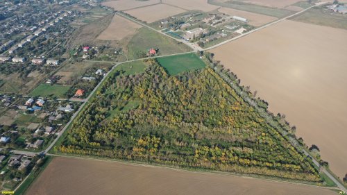 Зелёная зона в ст.Чебургольской (7)