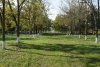 Зелёная зона в ст.Чебургольской (7)