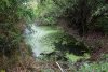 Урочище Восточно-Ладожское