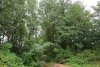 Урочище Восточно-Ладожское