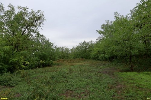 Зелёная зона в ст.Ладожской (10)
