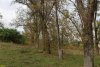 Зелёная зона в ст.Ладожской (1)