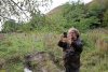 Определение древесных видов на территории Высокого берега Кубани в ст.Ладожской