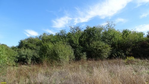 Зелёная зона в х.Александровский (дополнительная-1)