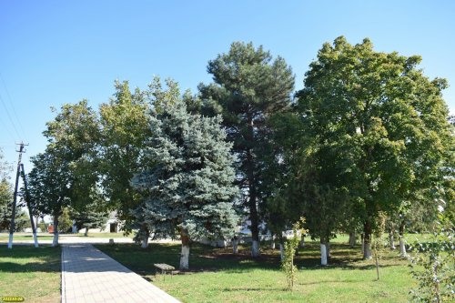 Зелёная зона в х.Александровский (7)