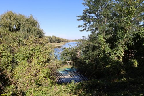 Зелёная зона в х.Александровский (2)