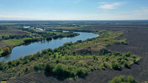 Пятихатская кустарниковая степь