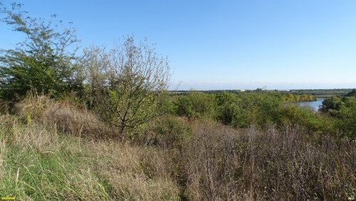 Пятихатская кустарниковая степь