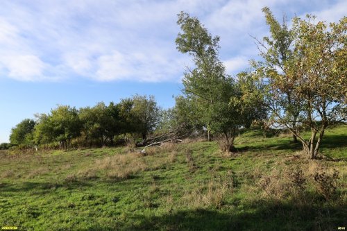 Зелёная зона в х.Пятихатский (2)