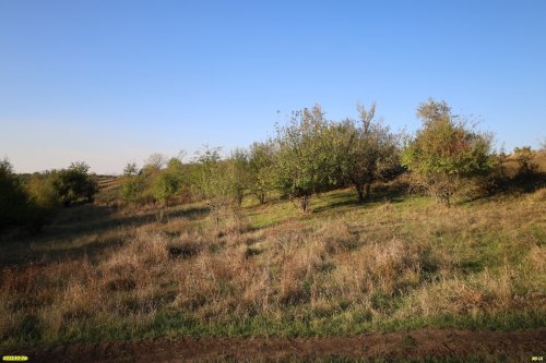 Финогеновская кустарниковая степь