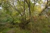 Зелёная зона в х.Солодковский (1)