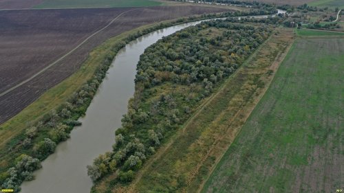 Деревянковский лес
