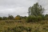 Деревянковский лес