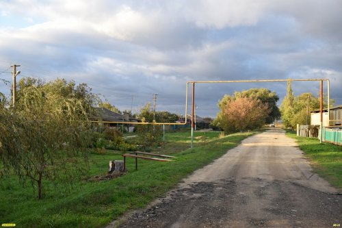 Зелёная зона в х.Солодковский (2)
