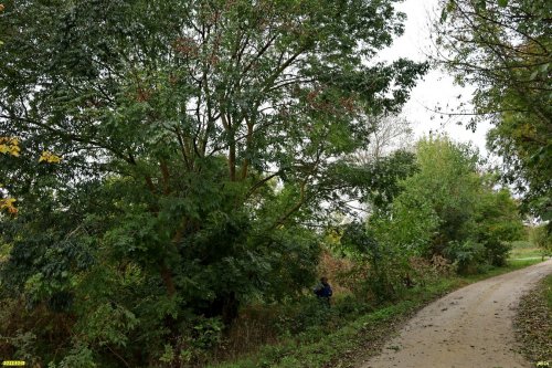 Зелёная зона в х.Деревянковка (дополнительная-2)