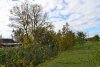 Зелёная зона в ст.Калининской (9)