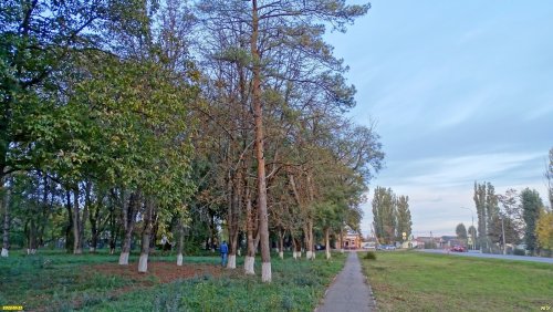 Зелёная зона в ст.Старовеличковской (5)
