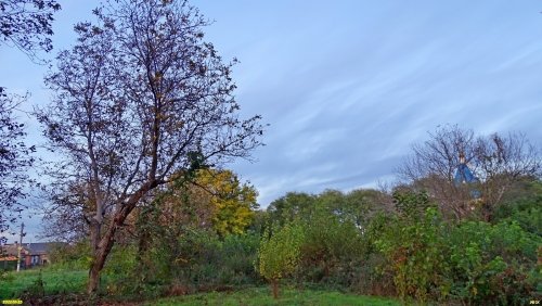 Зелёная зона в ст.Старовеличковской (5)