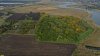 Западно-Журавлёвский лесопарк на левом берегу реки Понура