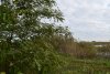 Западно-Журавлёвский лесопарк