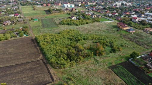 Поляны в центре зелёной зоны в ст.Калининской (7) - местообитание уникальных степных сообществ
