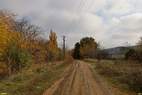 Зелёная зона в ст.Пластуновской (42)