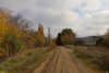 Зелёная зона в ст.Пластуновской (42)