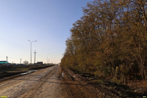 Северо-Пластуновский лес