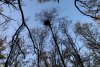 Зелёная зона в ст.Пластуновской (29)